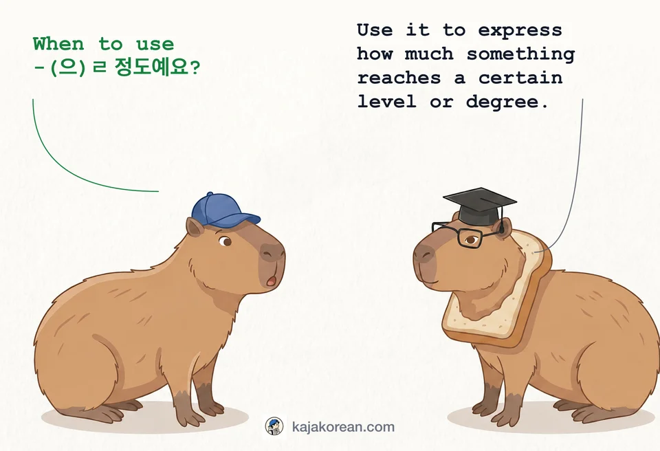 How to use -(으)ㄹ 정도예요 in Korean