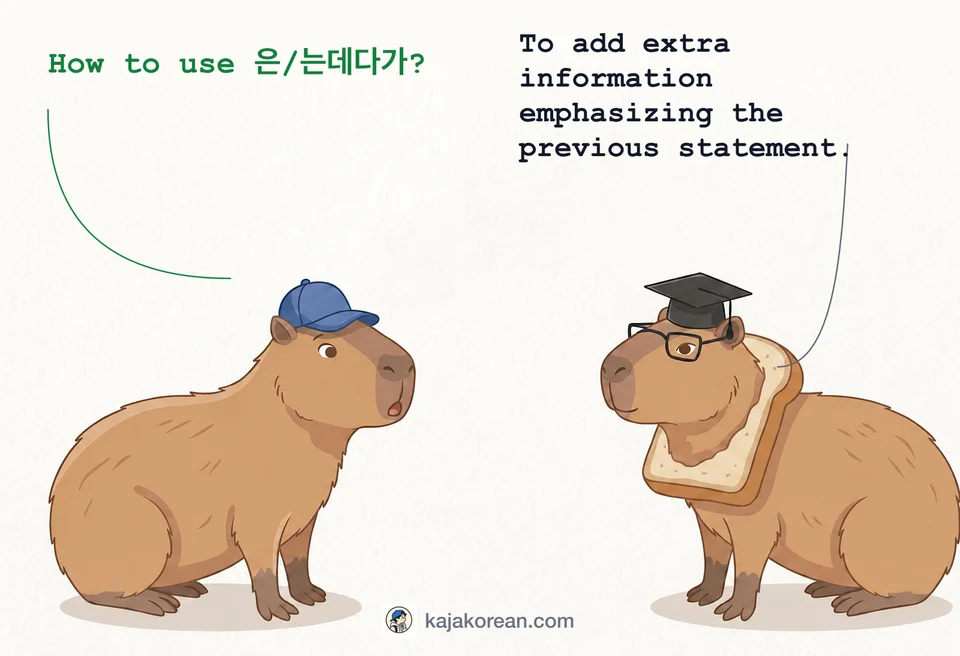Korean grammar -(으)ㄴ/는데다가 usage explanation