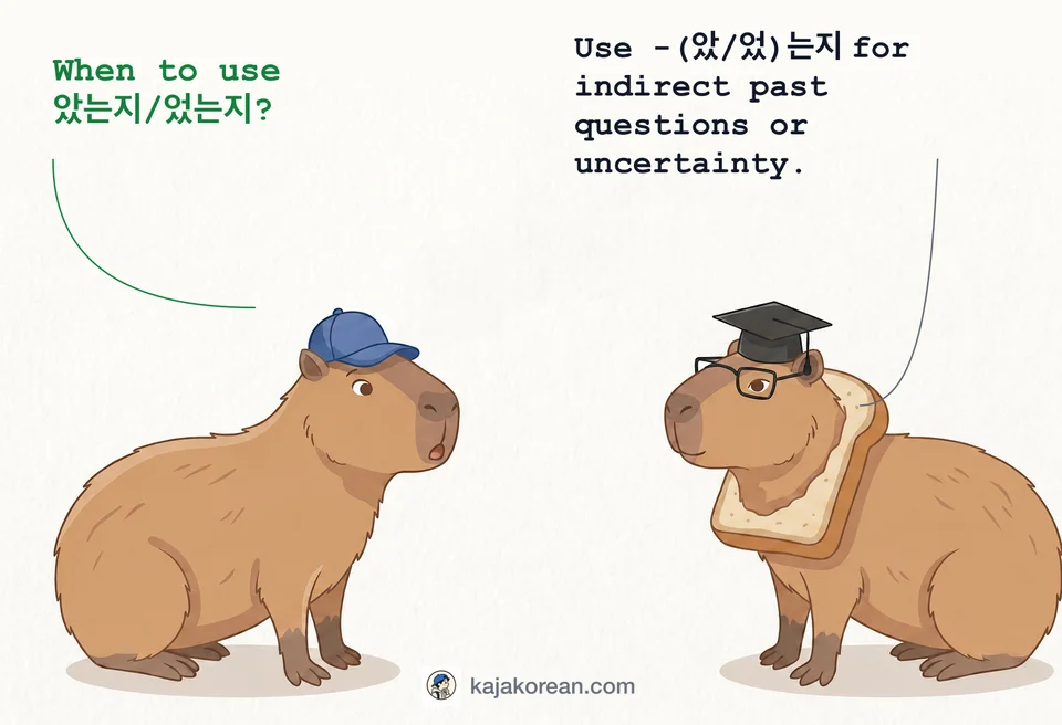 Explanation of Korean grammar -(았/었는지