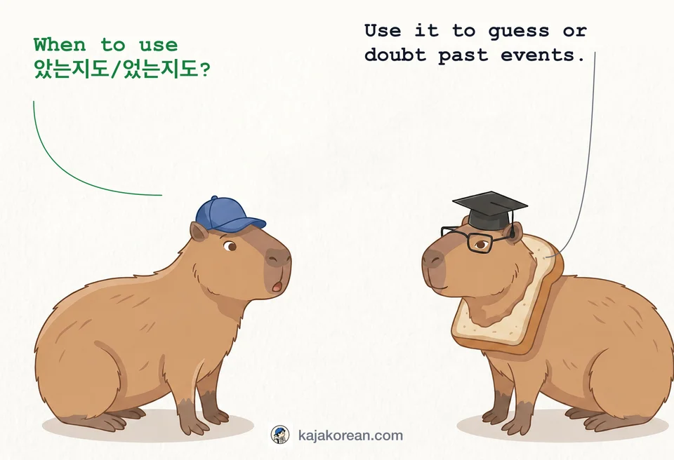 Explanation of -(았/었)는지도 usage