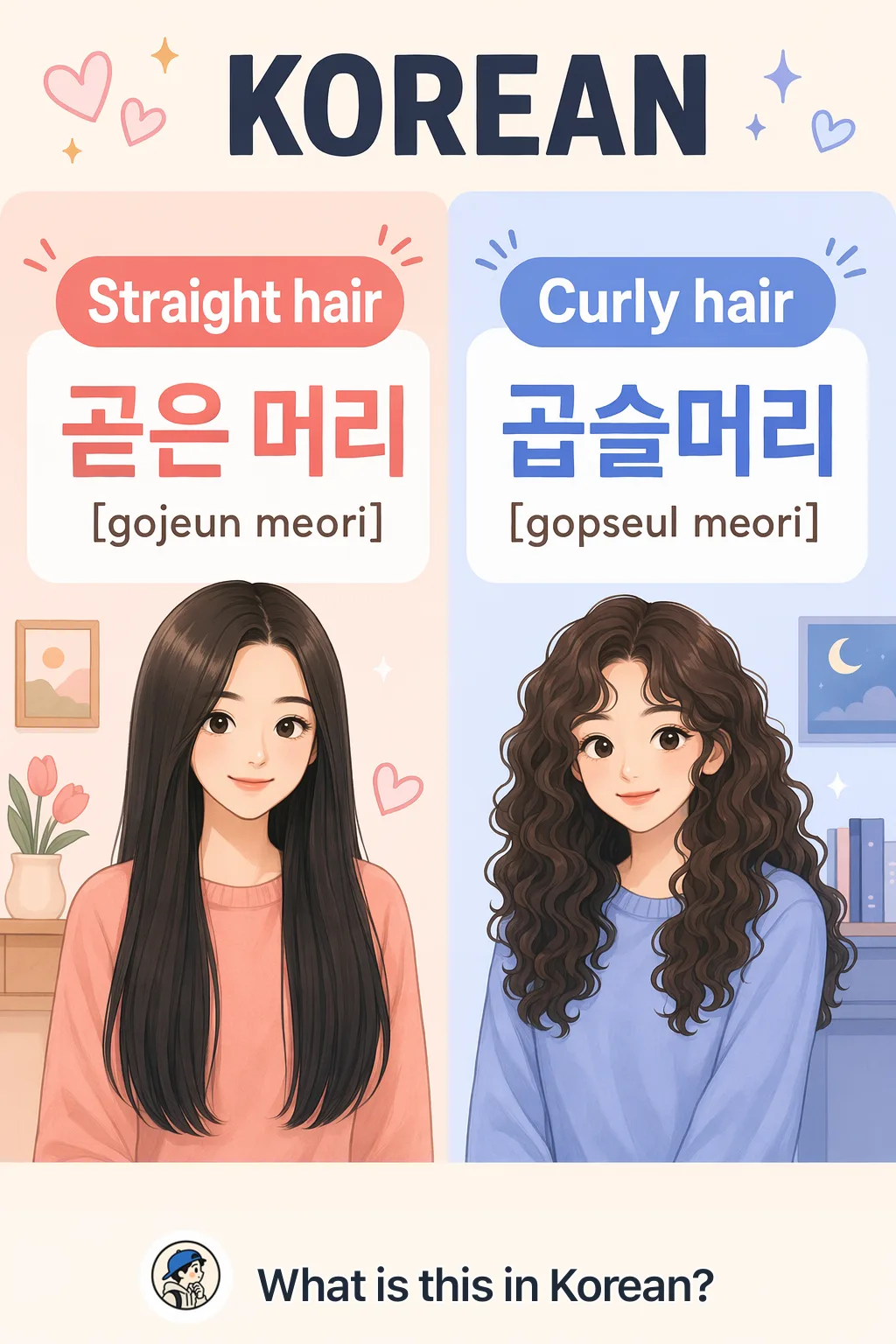 Straight hair vs Curly hair in Korean — Korean vocab chart