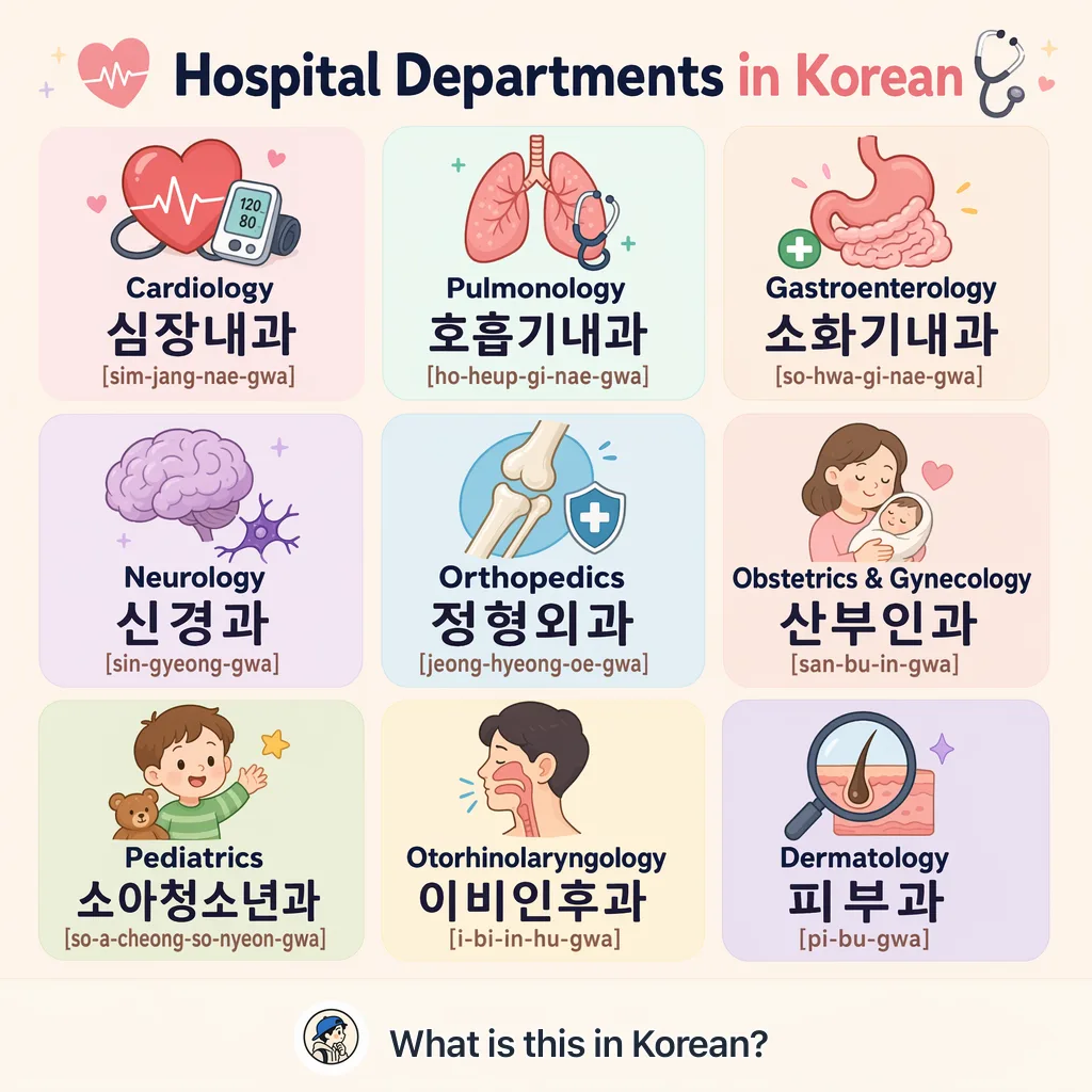 Hospital Departments in Korean — Korean vocab chart