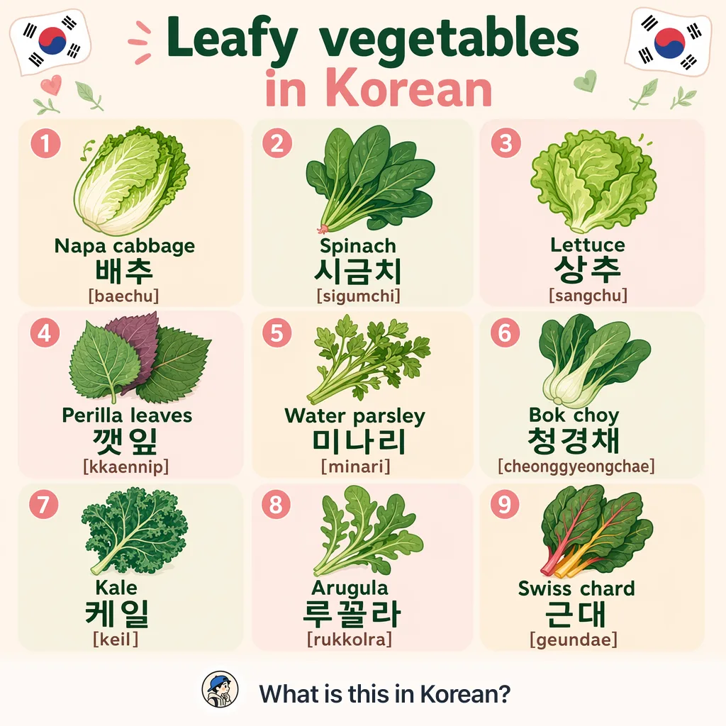 Leafy vegetables in Korean — Korean vocab chart