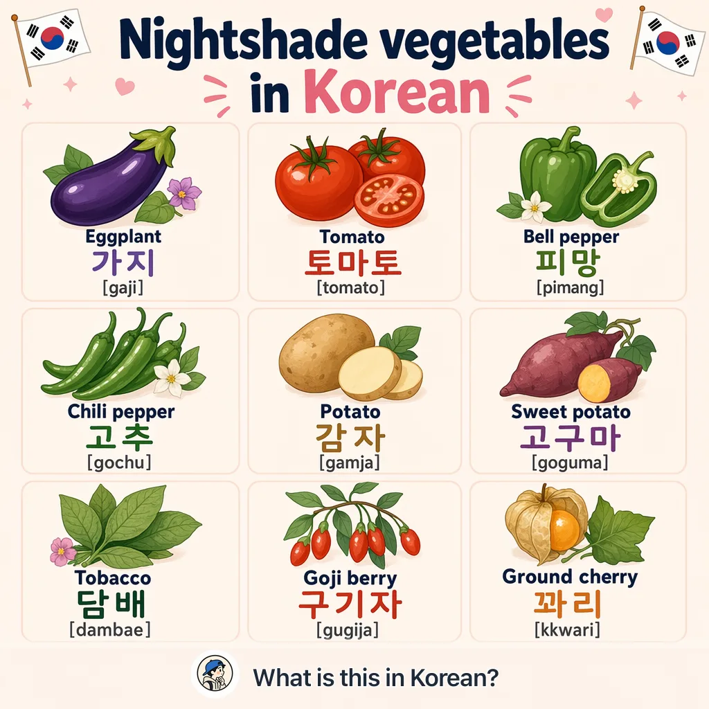 Nightshade vegetables in Korean — Korean vocab chart