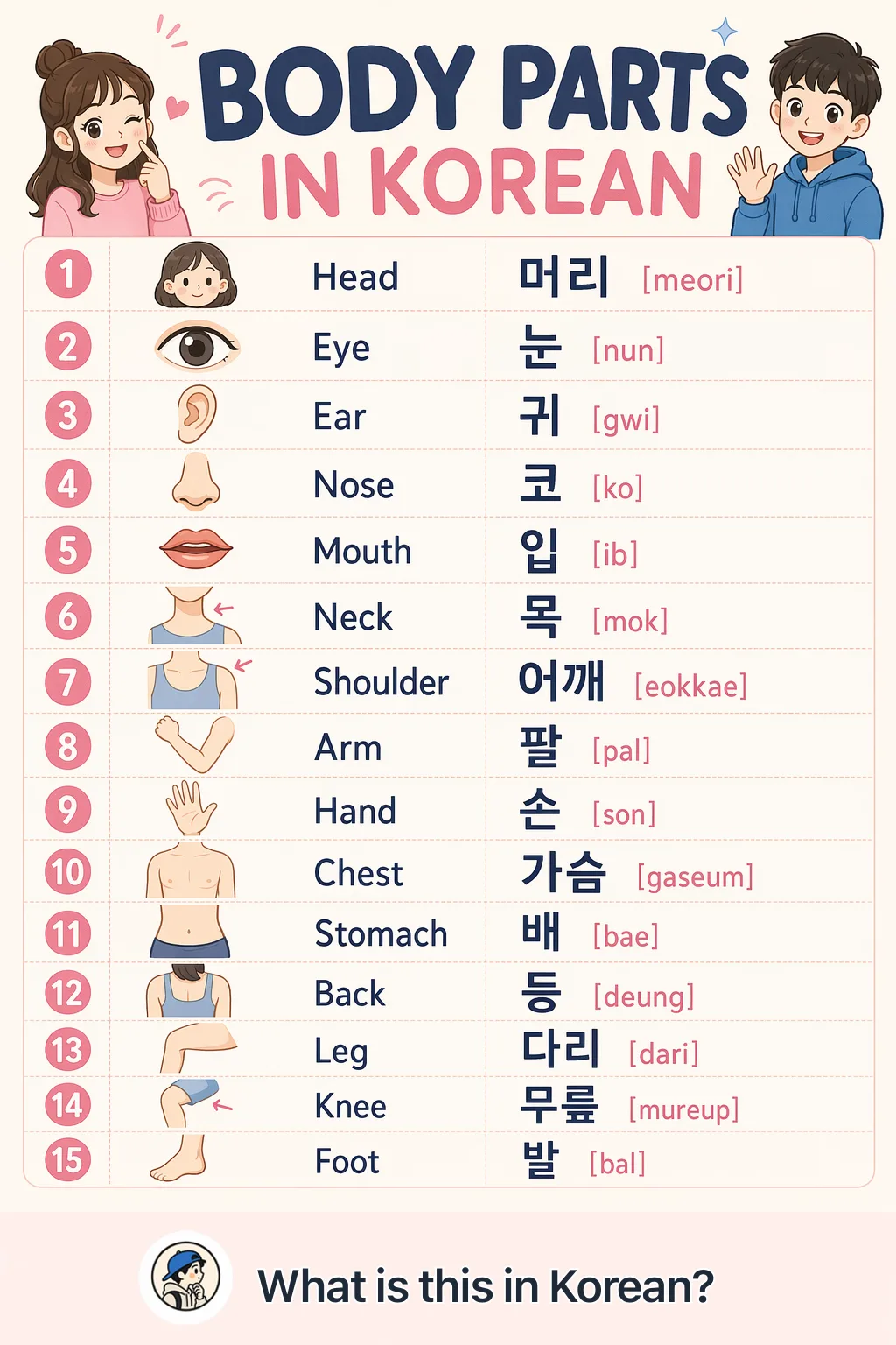 Body parts in Korean — Korean vocab chart