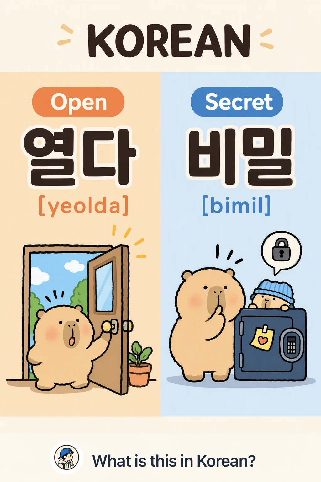 Open vs Secret in Korean — Korean vocab chart