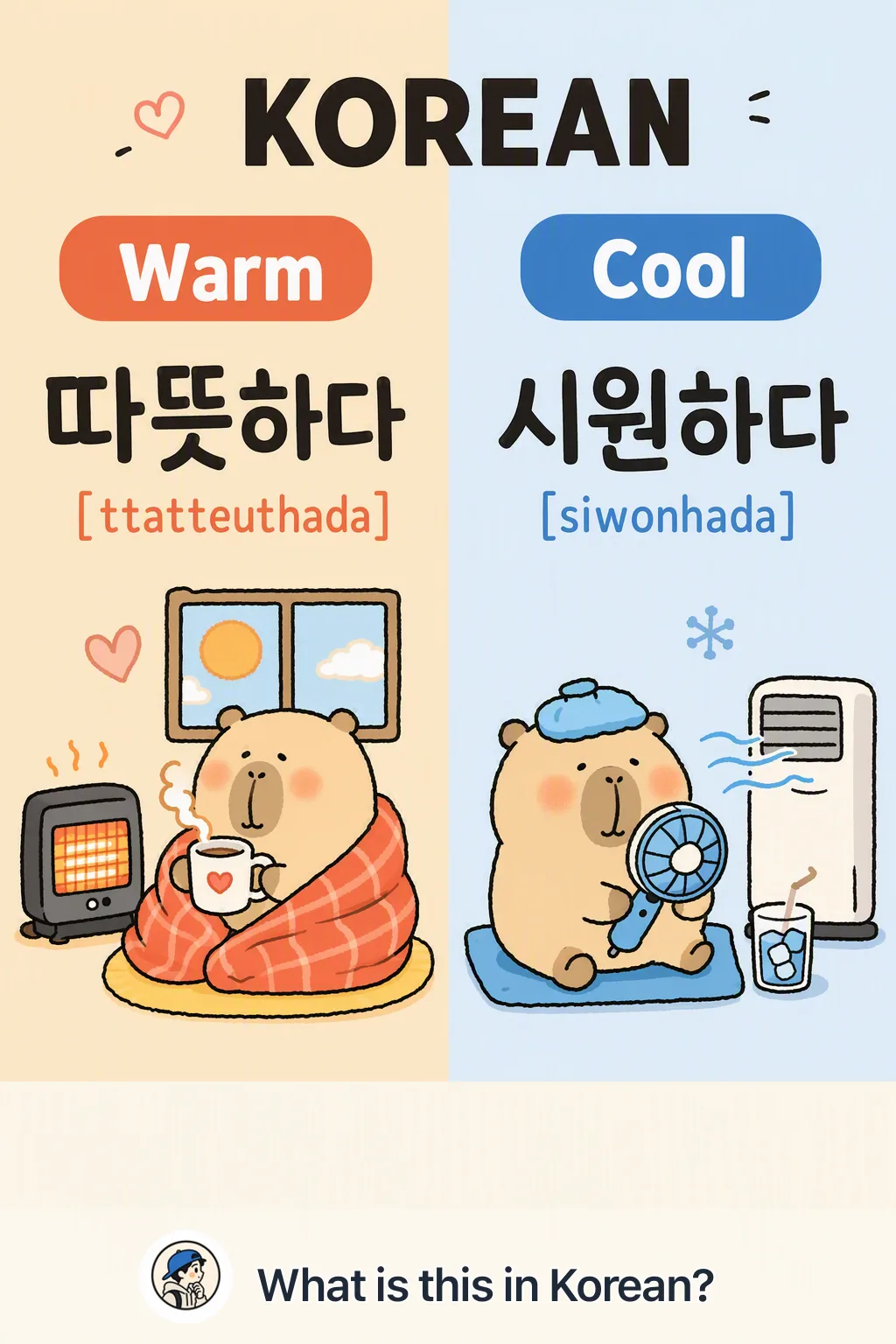 Warm vs Cool in Korean — Korean vocab chart