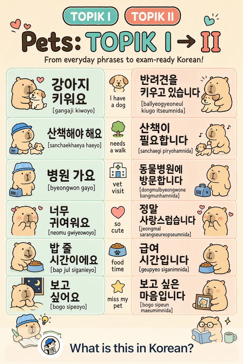 Pets: TOPIK I → II in Korean — Korean vocab chart