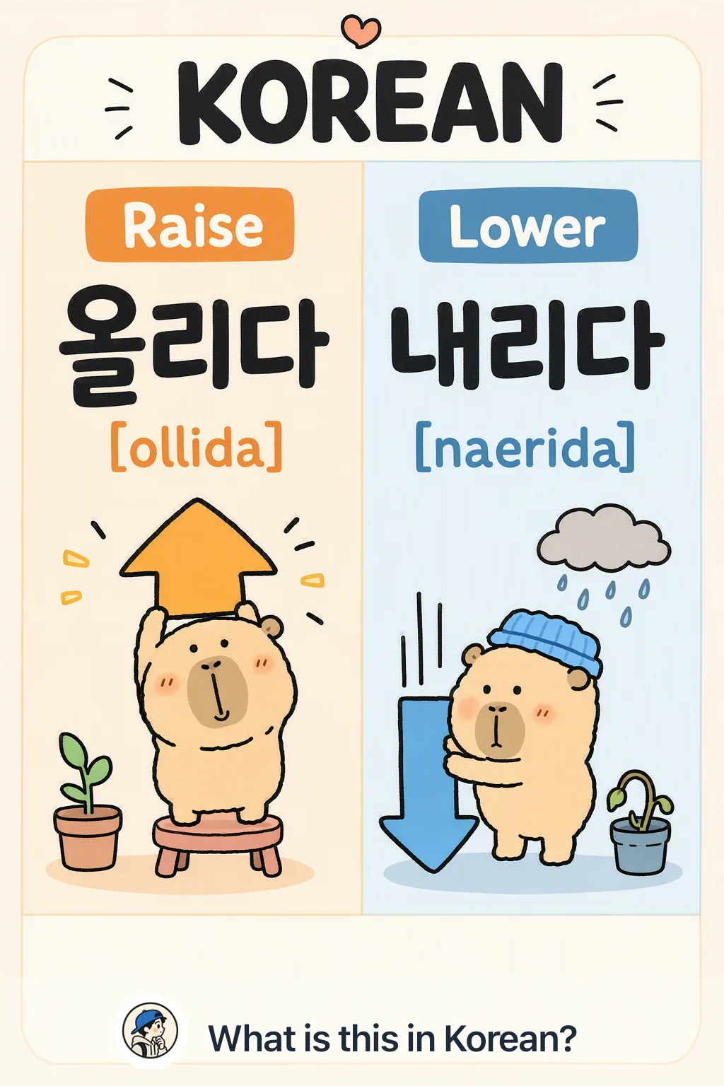 Raise vs Lower in Korean — Korean vocab chart
