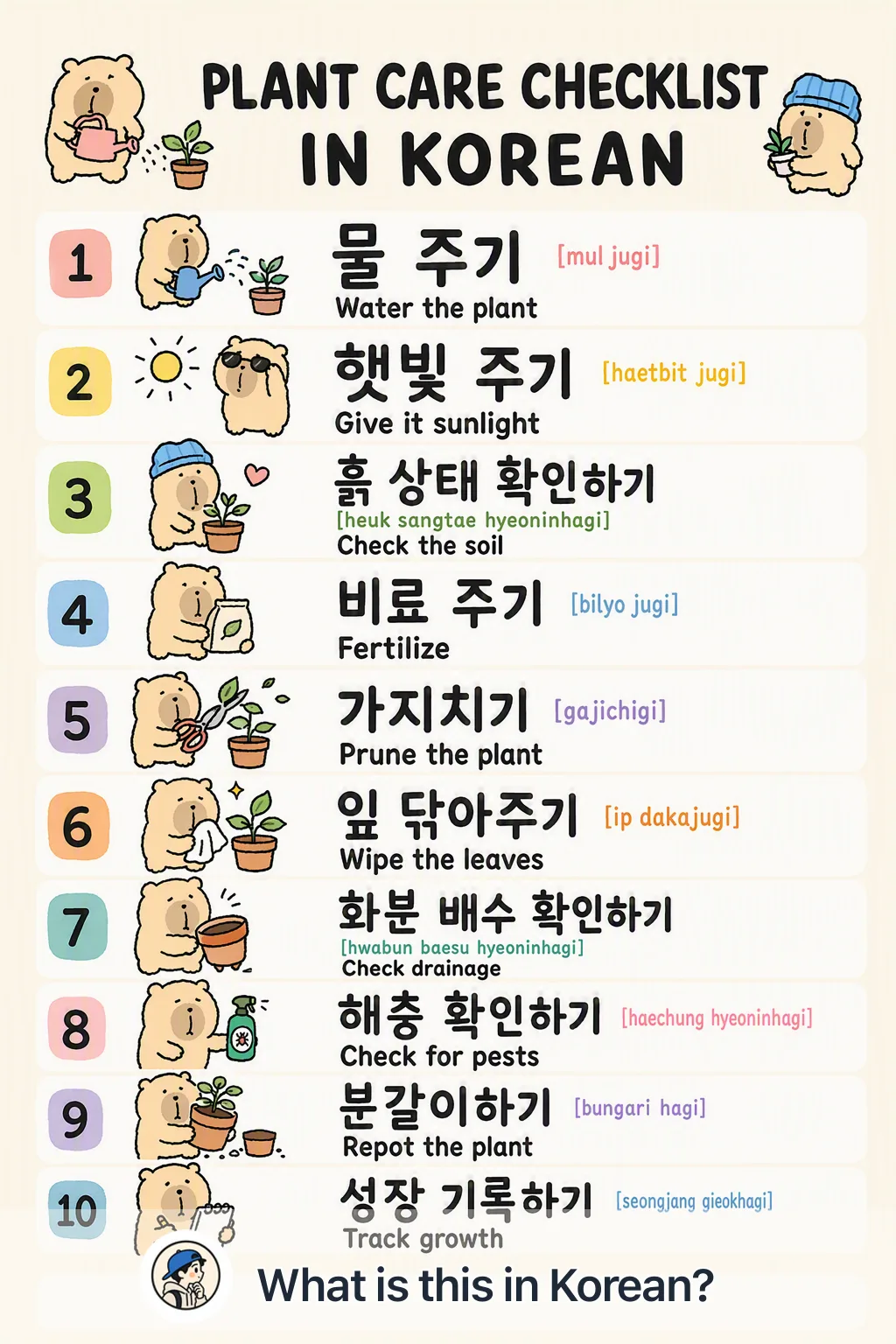 Plant care checklist in Korean — Korean vocab chart