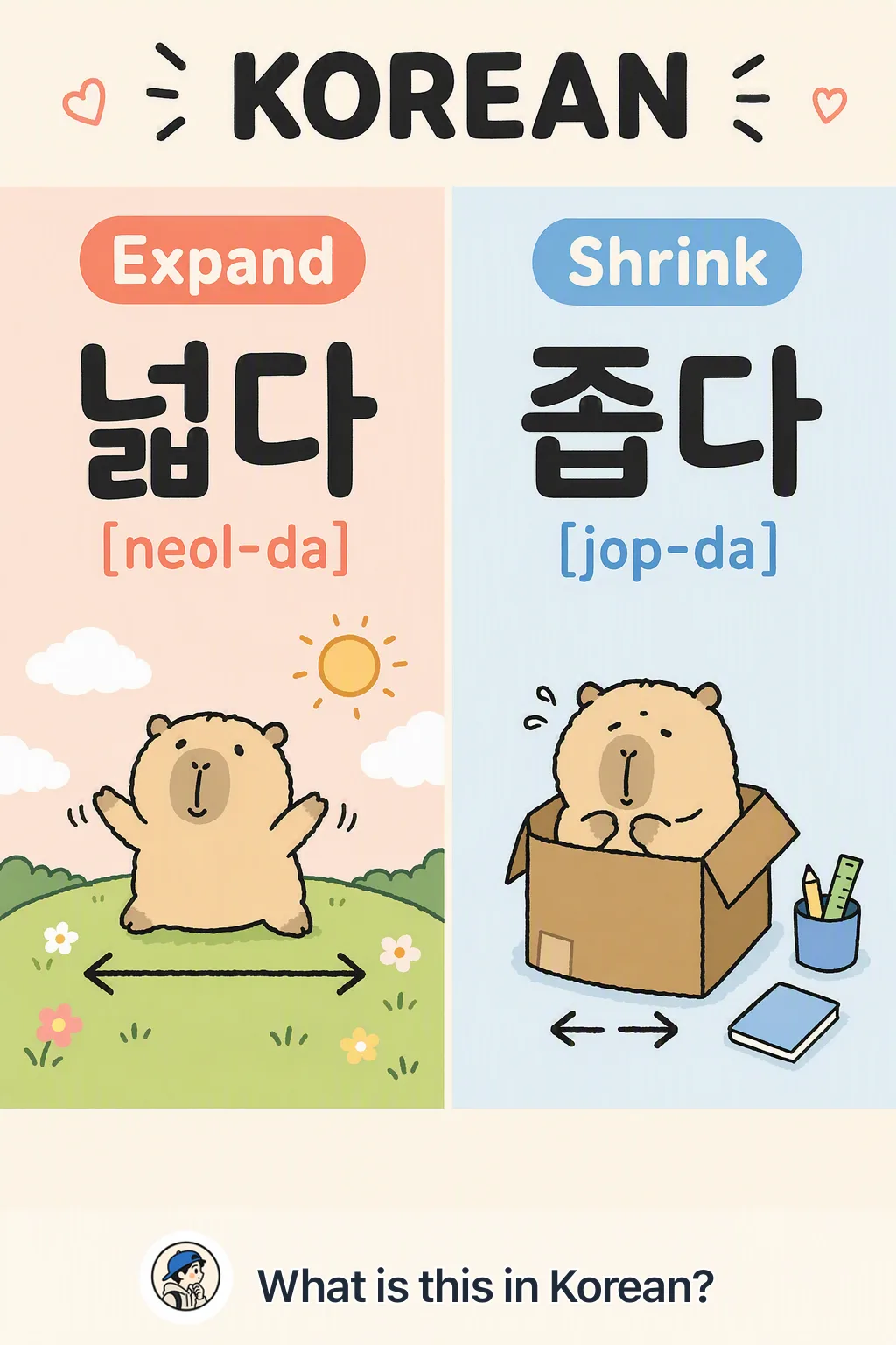 Expand vs Shrink in Korean — Korean vocab chart