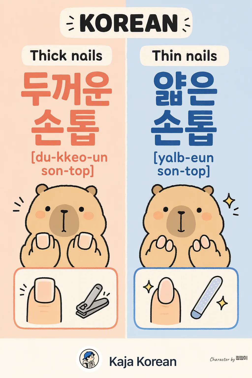 Thick nails vs Thin nails in Korean — Korean vocab chart
