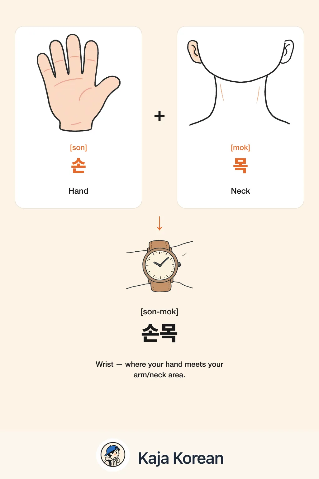 손 + 목 = 손목 in Korean — Korean vocab chart