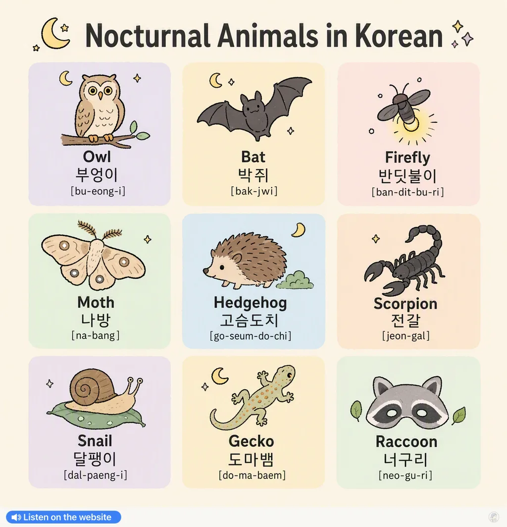 Nocturnal Animals in Korean — Korean vocab chart