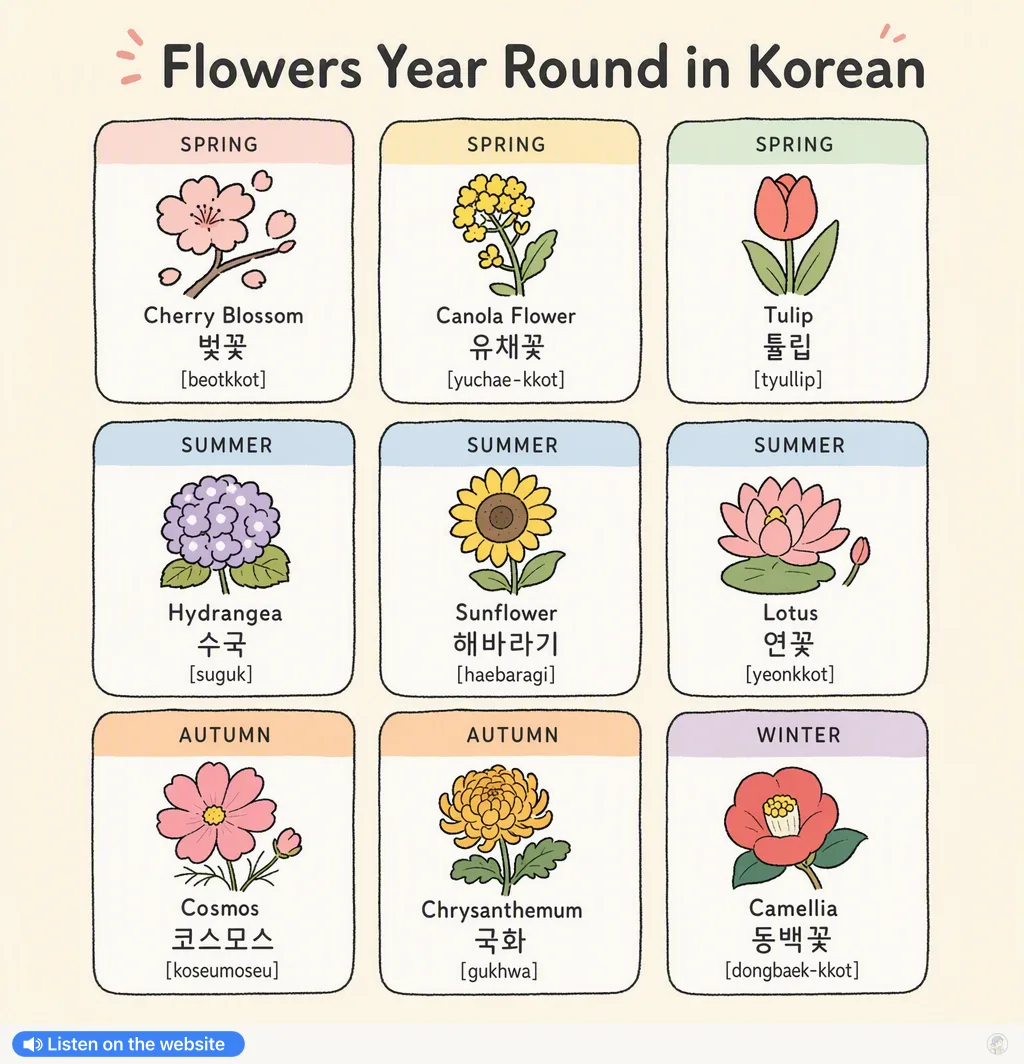 Flowers Year Round in Korean — Korean vocab chart