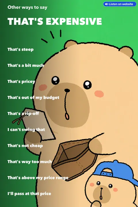 Other ways to say That's expensive chart